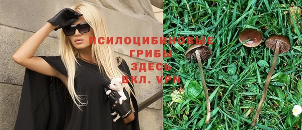 прущие грибы Белоозёрский