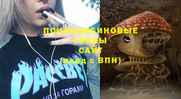 соль ск Богородицк