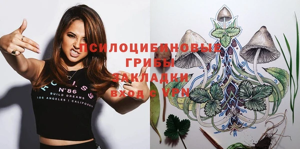 прущие грибы Белоозёрский