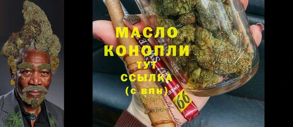 соль ск Богородицк