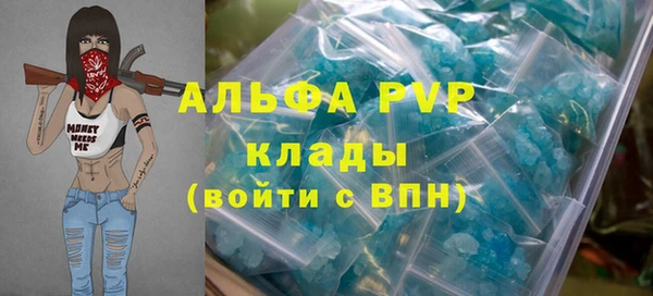 PSILOCYBIN Богданович