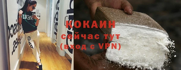 соль ск Богородицк