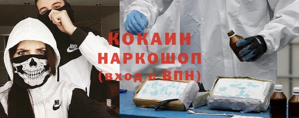 соль ск Богородицк